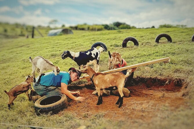 Kauai Private Baby Farm Animal Experience & Micro Dairy Immersion - Key highlights worth booking for