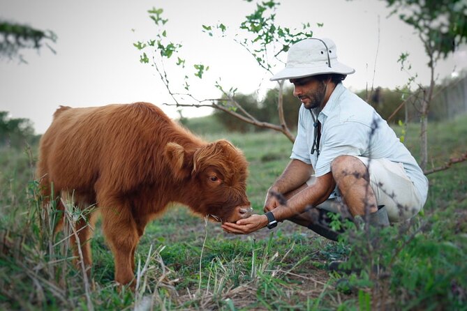 Kauai Private Baby Farm Animal Experience & Micro Dairy Immersion - Who this private 50-minute tour fits best