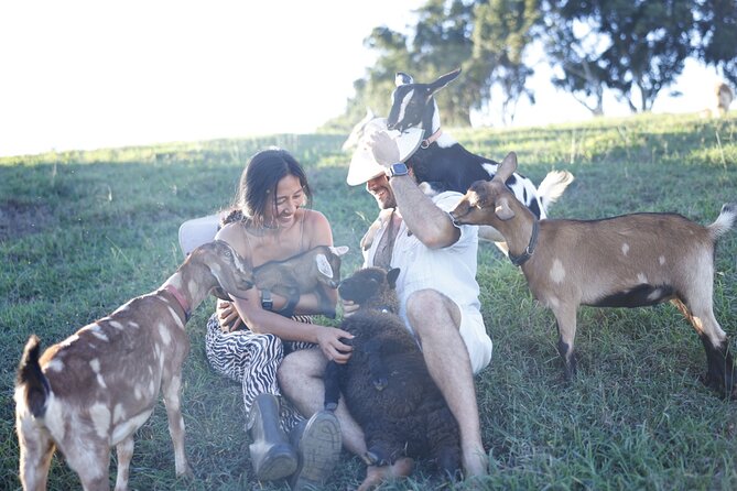 Kauai Private Baby Farm Animal Experience & Micro Dairy Immersion - Price and value: is $125 for an hour worth it?