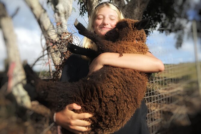Kauai Private Baby Farm Animal Experience & Micro Dairy Immersion - Weather and what to do if conditions change