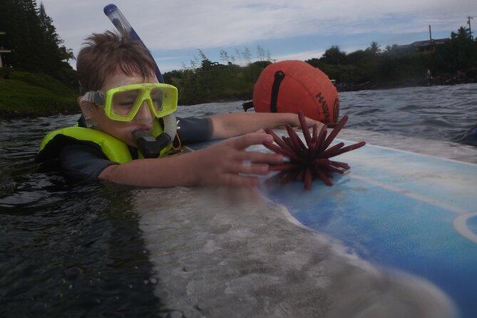 Kauai Private Group Snorkel Tour with Sea Turtles - Practical tips so your snorkel goes smoothly