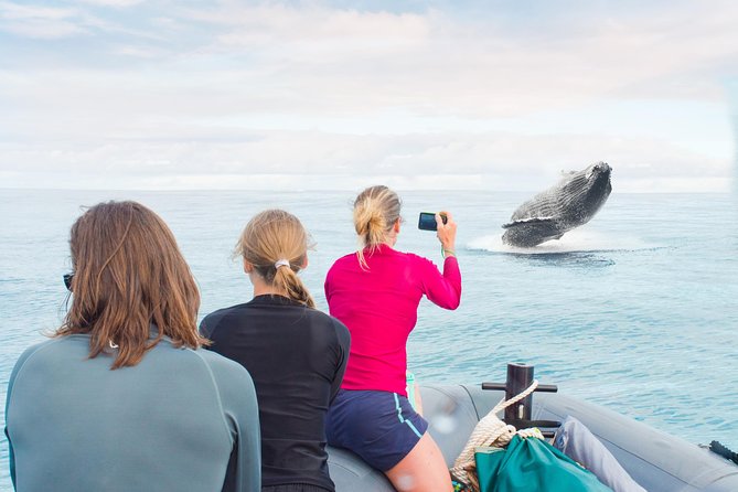 Kauai Raft Adventure: Whale Watch Discovery - Key things to know before you go