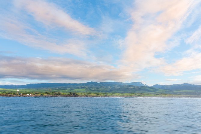 Kauai Raft Adventure: Whale Watch Discovery - Who should book (and who should skip) the bouncy raft style