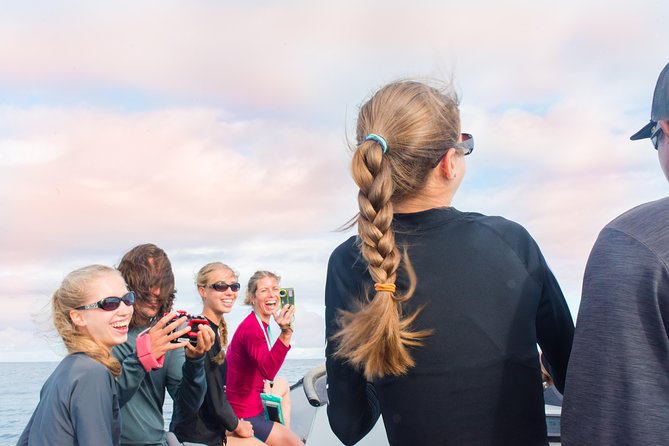 Kauai Raft Adventure: Whale Watch Discovery - Finding whales and dolphins: how the crew sets you up for success