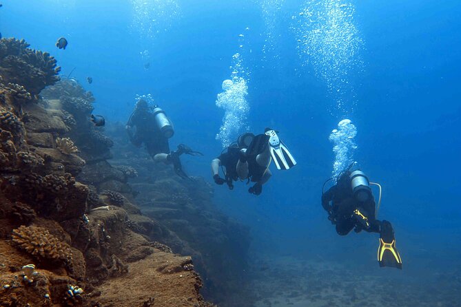 Kauai's Exclusive Morning Scuba Charter for Experienced Divers - Onboard comfort: the included extras that make a real difference