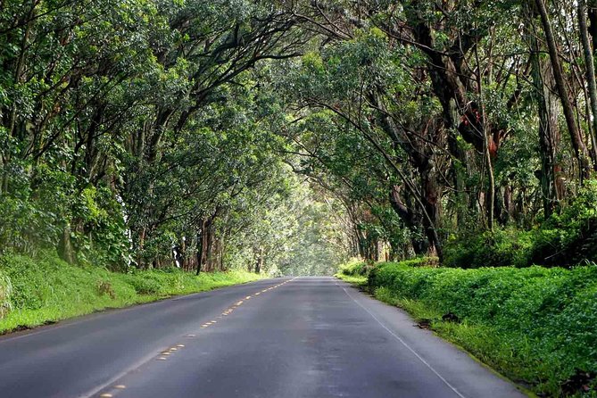 Kauai's Legends, Waterfalls & Geysers-Small Group Tour - Kapaa’s pastry break: malasadas and a local taste before the waterfalls