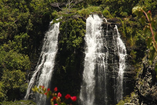 Kauai's Legends, Waterfalls & Geysers-Small Group Tour - Lydgate Beach Park: Morgan Ponds plus an easy stroll