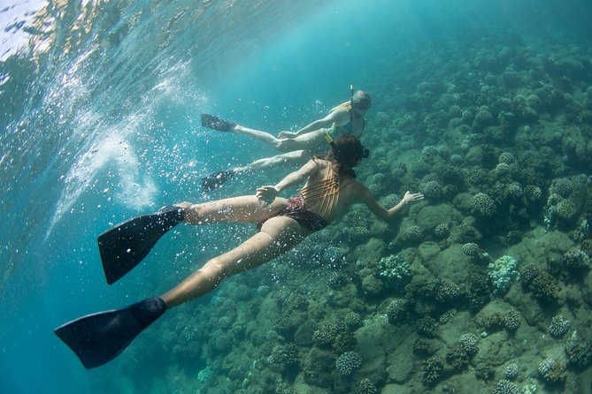 Kauai’s Na Pali Coast Snorkel and Sail Tour - Polihale State Park: beautiful views, and sometimes fewer minutes for snorkeling