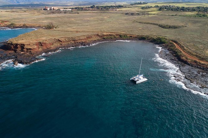 Kauai’s Na Pali Coast Snorkel and Sail Tour - Whale watching in season: why you should expect more than one animal plan