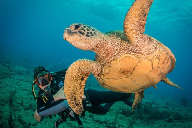 Kauai's Ultimate Discover Scuba Dive - OCEAN EXPERIENCE (1 Tank Dive) - What Happens Before You Reach 40 Feet (and Why That’s the Point)
