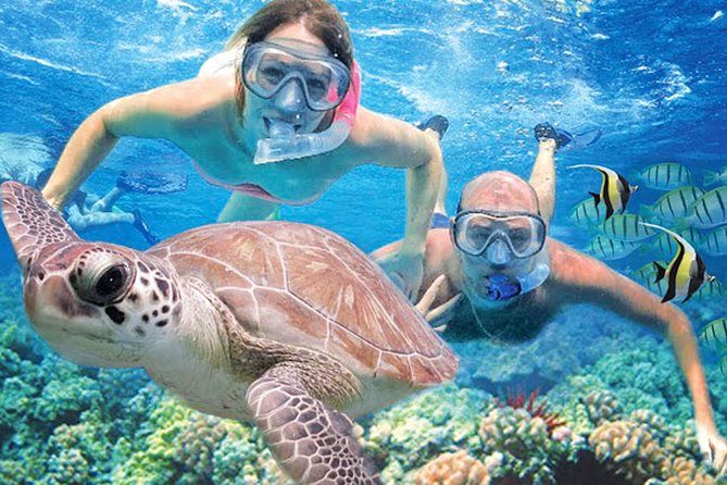 Kauai’s Ultimate Guided Shore Snorkel in South Poipu - Key highlights to look for
