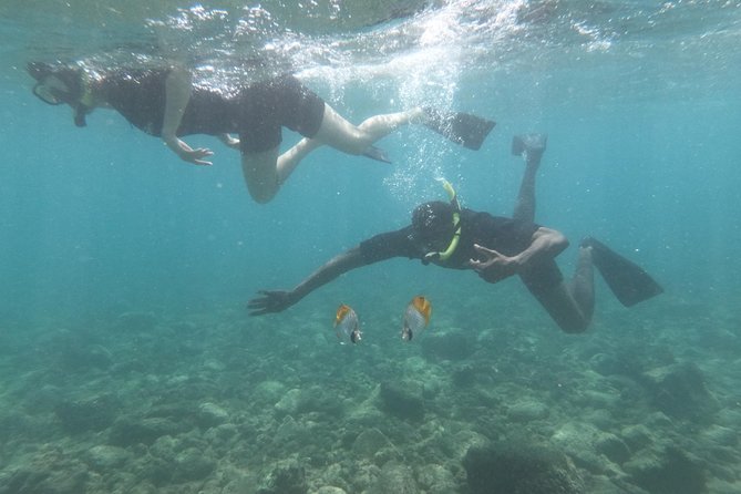 Kauai’s Ultimate Guided Shore Snorkel in South Poipu - Who should book this shore snorkel?