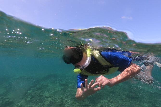 Kauai's Ultimate Guided Shore Snorkel (NO BOAT): North Anini - Key things that make this tour work