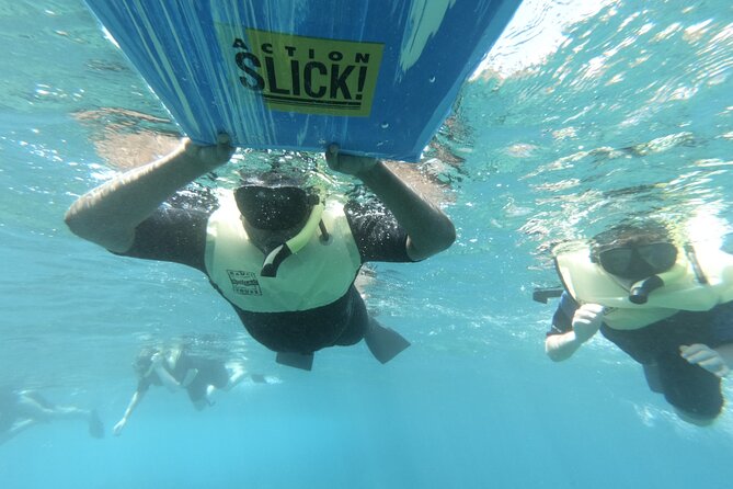 Kauai's Ultimate Guided Shore Snorkel (NO BOAT): North Anini - Should you book Kauai’s Ultimate Guided Shore Snorkel (No Boat)?