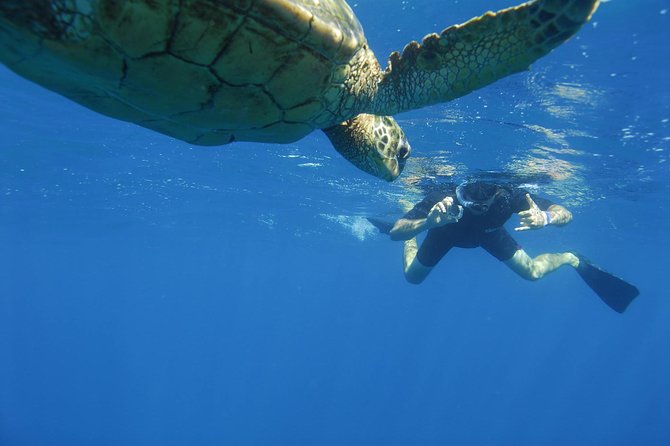 Kauai's Ultimate South Island Zodiac Boat Snorkel Adventure - Stop 1 at Spouting Horn: Coast Views and Wildlife Scanning