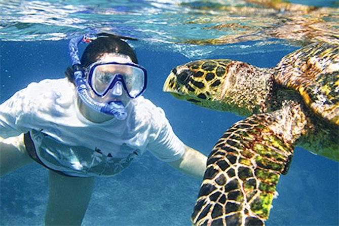 Kauai's Ultimate South Island Zodiac Boat Snorkel Adventure - Getting to the Water at 3417 Poipu Rd (and Why Arrival Time Matters)