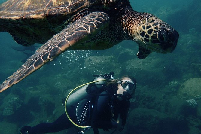 Kauai's Ultimate South Shore 2 Tank Dive (Certified Divers Only) - South Shore Shore-Based Scuba in Hanaka’ape Bay