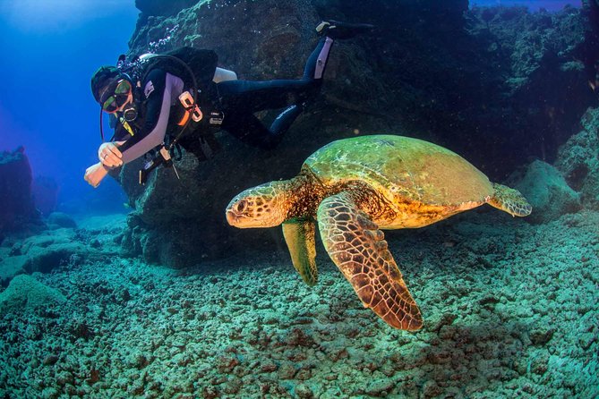 Kauai's Ultimate South Shore 2 Tank Dive (Certified Divers Only) - Equipment, Snacks, and Comfort: What’s Included and What to Expect