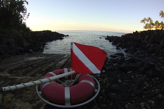 Kauai's Ultimate South Shore 2 Tank Dive (Certified Divers Only) - Price and Value: Is $210.92 Worth It?