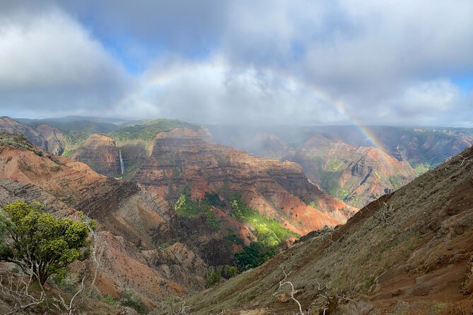 Kauai's Waimea Canyon and South Side Private Guided Tour - Key Highlights You’ll Feel Right Away