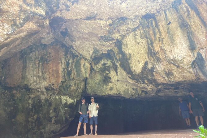 Kauai's Waimea Canyon and South Side Private Guided Tour - Poipu Beach Park: Seals, Turtles, and South-Coast Calm