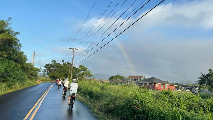 Kauai: Scenic Electric Bike Tour of Poipu and Koloa - Prince Kuhio’s Birthplace: Turning a Site Into a Story You Can Remember