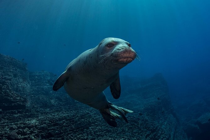Kauai Scuba Diving for Beginners - Koloa Landing Shore Setup: How It Changes the Experience