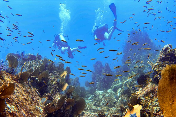 Kauai Scuba Diving for Beginners - Gear, Forms, and the Safety Brief That Makes It Work