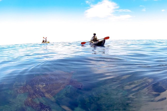 Kauai Sea Kayaking 10 mile tour - Na Pali Iki (Polihale to Milolii) - Key Things That Make This Tour Worth Your Time