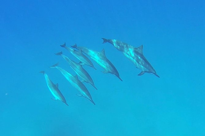 Kauai Sea Kayaking 10 mile tour - Na Pali Iki (Polihale to Milolii) - Lunch, Water, and What to Bring (So You Don’t Lose Points for Basics)