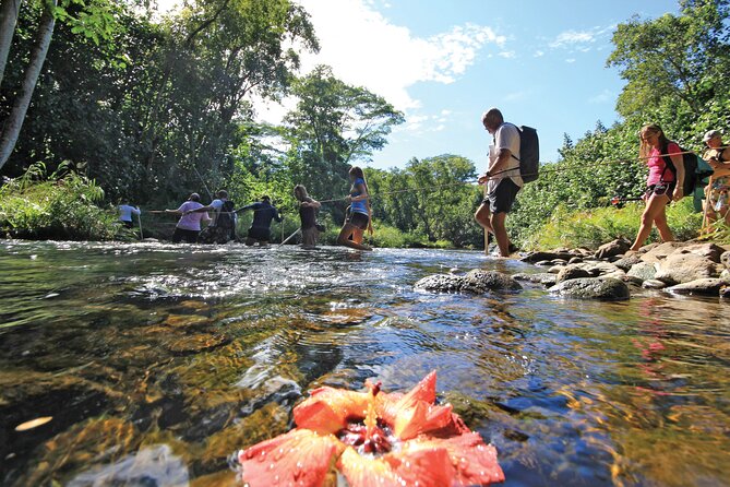 Kauai: Secret Falls Kayak and Hike - Wailua River Kayak + Secret Falls Hike: Why This Tour Works