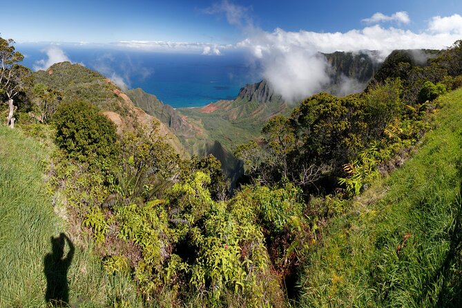Kauai Shore Excursion - Waimea Canyon Adventure Tour - Nawiliwili - Kauai Shore Excursion Quick Hits
