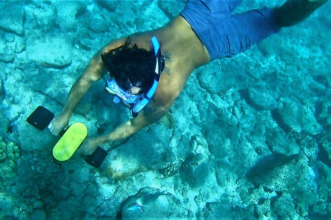 Kauai Snorkeling Adventure - Sea Scooter Snorkeling: What the gear actually changes