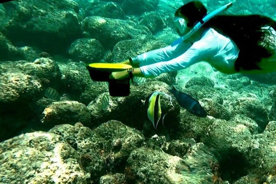 Kauai: Snorkeling Adventure with Sea Scooter - Logistics That Matter: Bring What’s Required, Then Plan Your Day