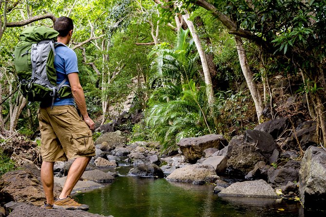 Kauai Wailua Valley & Waterfalls Audio Driving Tour - Day Two: Keep the Freedom Without Rushing