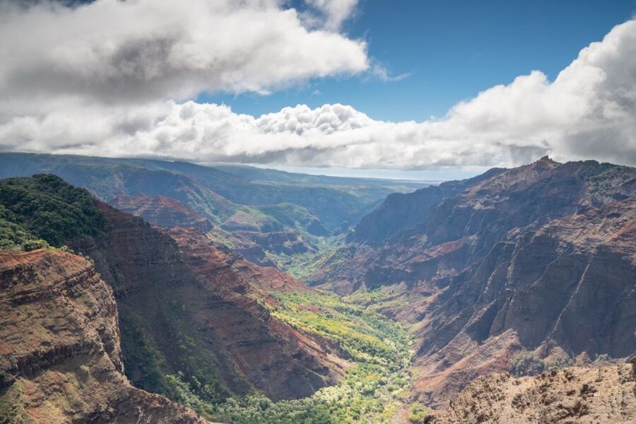 Kauai: Waimea Canyon and Koke'e State Park Tour - The Koke‘e Natural History Museum stop and the meaning of that $3 donation