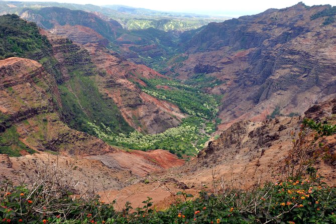 Kauai Waimea Canyon and Koke'e Tour - Kōkeʻe State Park: The Best Stretch of Cooler Air