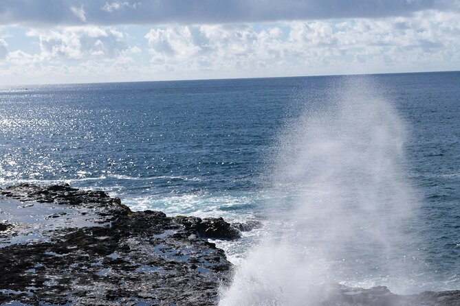 Kauai Waimea Canyon and Koke'e Tour - Kauai Coffee Company: A Real Break, Not Just a Photo Stop