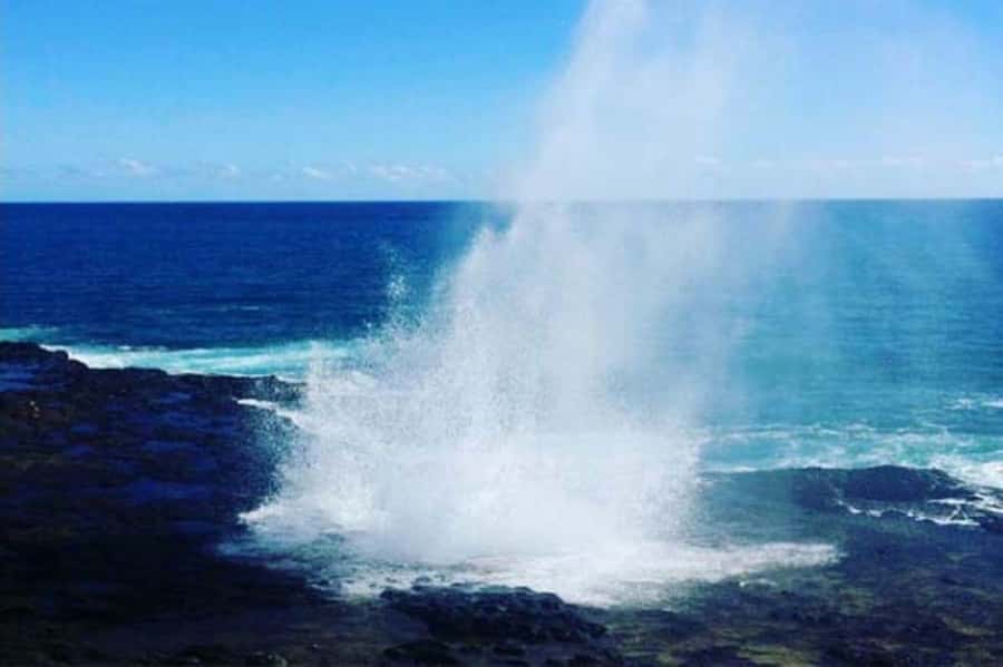 Kauai: Waimea Canyon and Waterfall Adventure Day Tour - Key things I’d zoom in on before you go