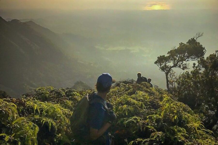Kauai: Waimea Canyon & Kokeʻe State Park Private Tour - Key highlights to pay attention to