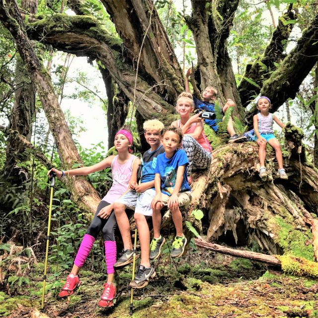 Kauai: Waimea Canyon & Kokeʻe State Park Private Tour - From Hanapēpē to Waimea Canyon: the road you’ll be glad you took