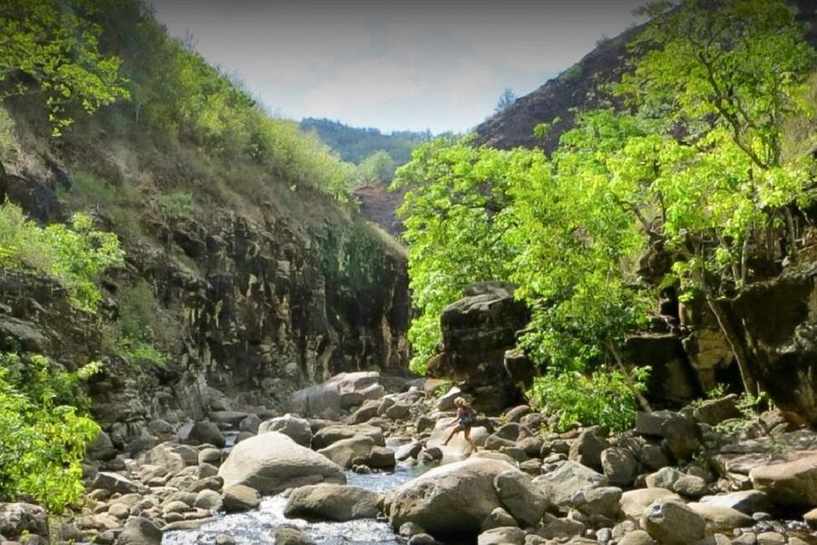 Kauai: Waimea Canyon & Kokeʻe State Park Private Tour - Private pacing, custom itinerary, and real-world logistics