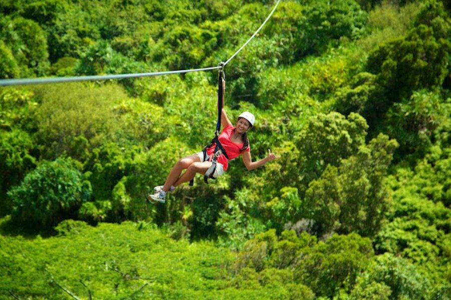 Kauai: Zipline Adventure - Key Highlights to Know Before You Go