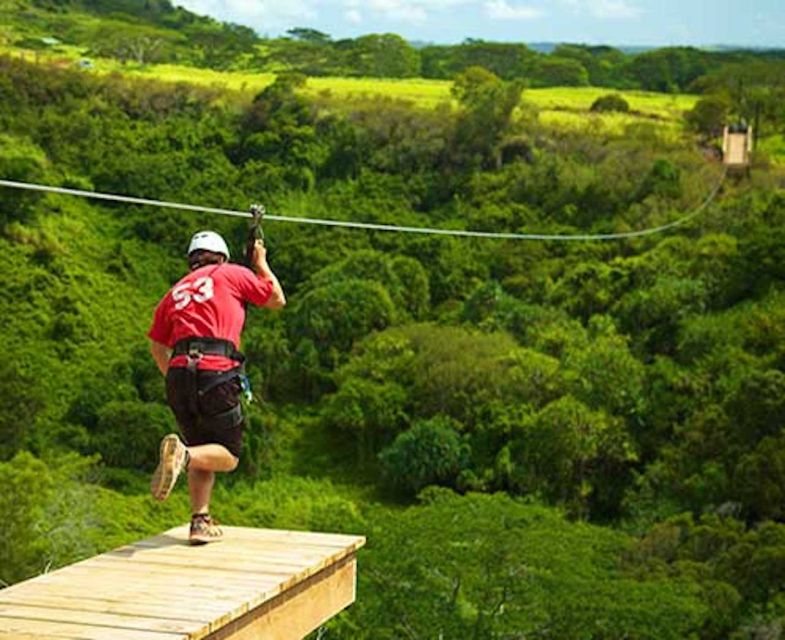 Kauai: Zipline Adventure - A Quick Reality Check: What This Kauai Zipline Delivers