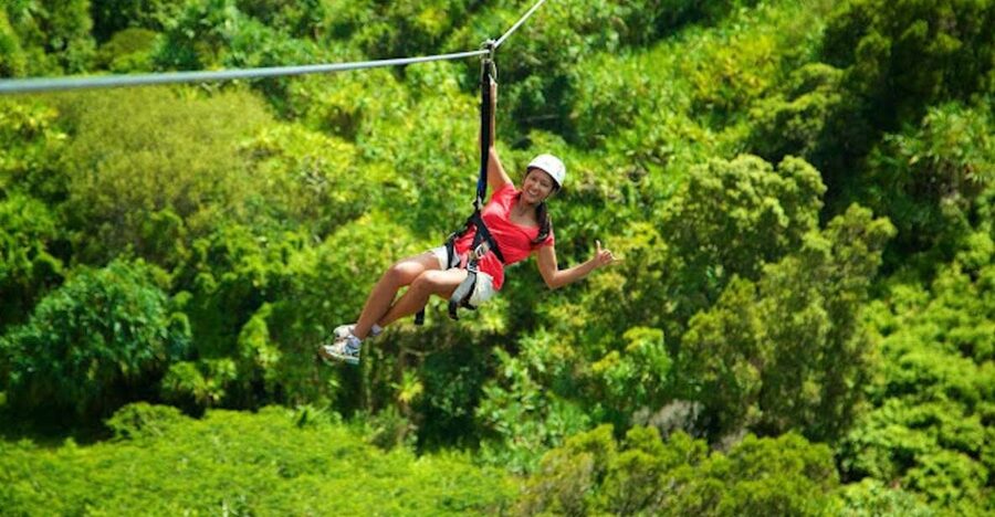 Kauai: Zipline Adventure - 5 Lines vs 8 Lines: Choose Your Comfort Level