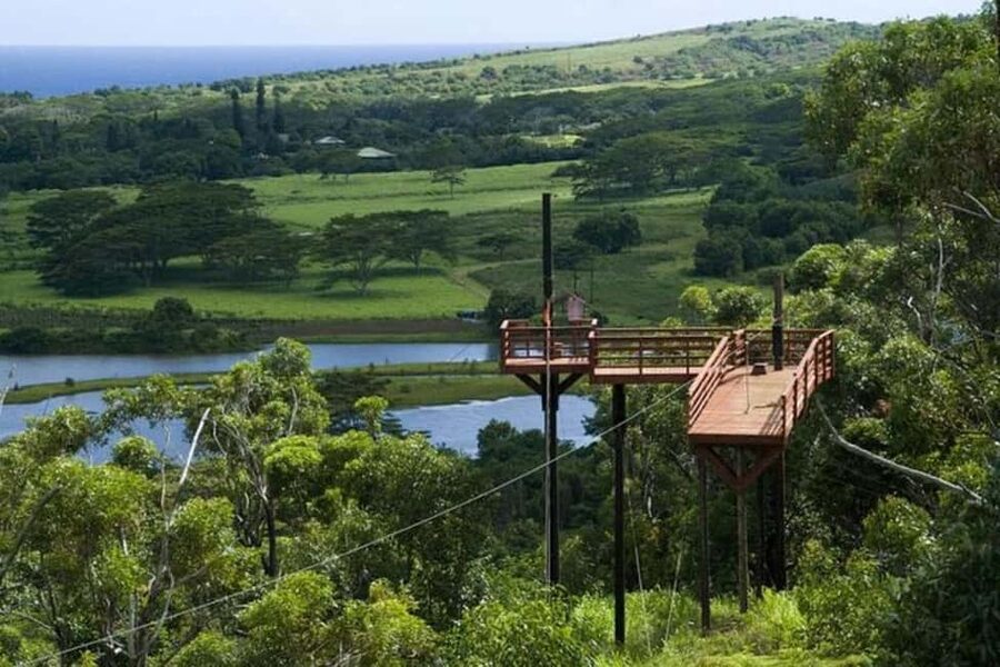 Koloa: Kauai’s Longest 8-Line Zipline Tour - The 8-Line Course: What Happens From Start to Finish
