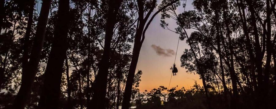 Koloa: Kauai’s Longest 8-Line Zipline Tour - Who This Tour Fits Best on Kauai