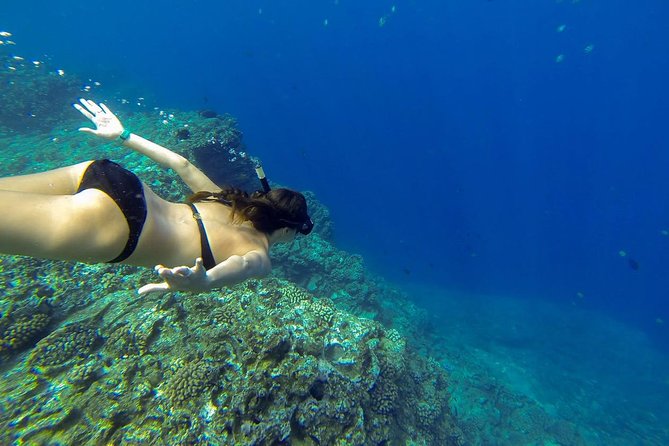 Ni'ihau and Na Pali Coast Snorkel Boat Tour - Na Pali Coast State Wilderness Park: the big cliffs and the famous angles