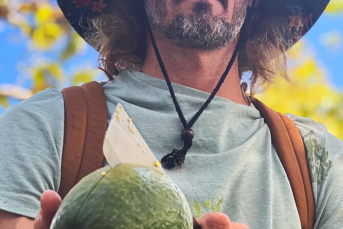 Pick and Taste Tropical Fruit - Picking what’s ripe: how the fruit experience is supposed to feel