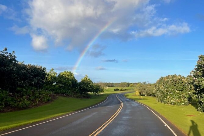 Poipu and Koloa E-Bike Scenic Tour - Poipu Beach: Family-Friendly Views and Turtle-Watching Potential